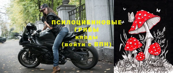 прущие крисы Аркадак